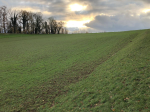 photo18283