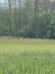 photo18329