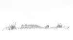 photo18432