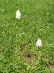 photo18442