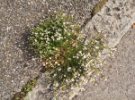 photo18452