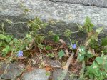 photo18456