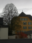 photo18474