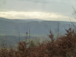 photo18478