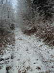 photo18482