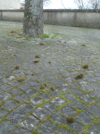 photo18497
