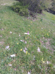 photo18523