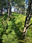 photo18544