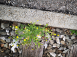 photo18547